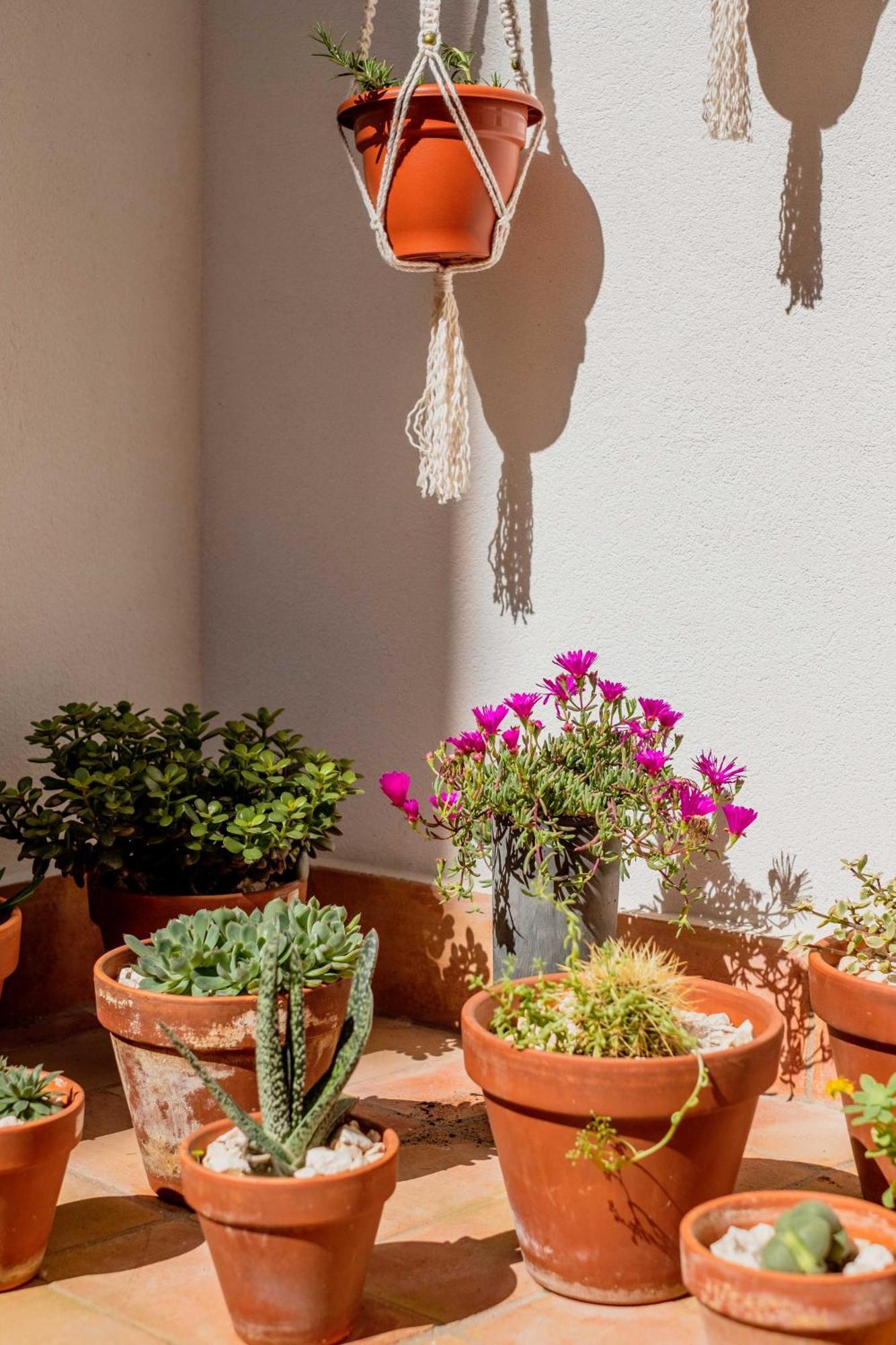 Pensión Casa Creativa Lagos